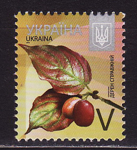 Украина _, 2015, Стандарт, Кизил обыкновенный, 1 марка